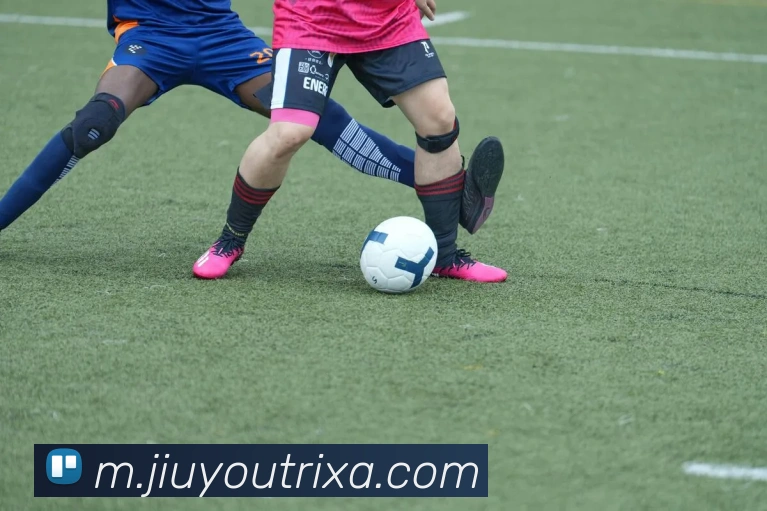 九游体育APP 封面图